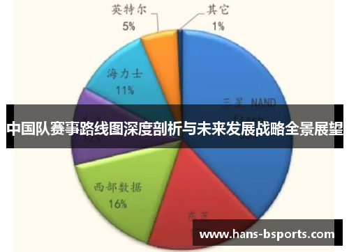中国队赛事路线图深度剖析与未来发展战略全景展望
